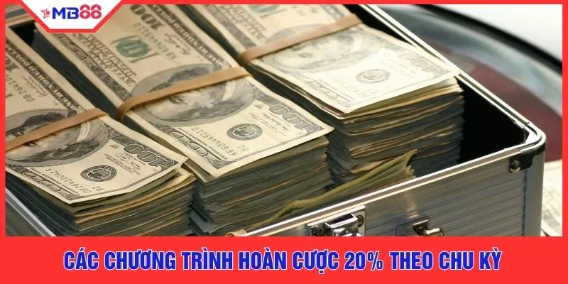 Các chương trình hoàn cược 20% theo chu kỳ